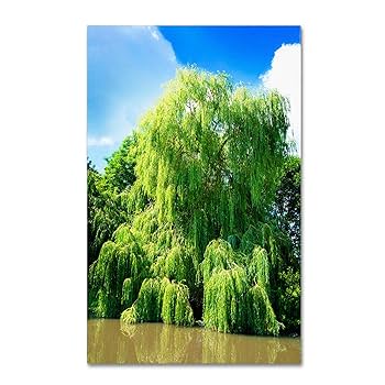 エルテ Erte「Willow Tree」シルクスクリーン 10号大 サイン エルテ Erte「Willow Tree」シルクスクリーン 10号大 サイン
